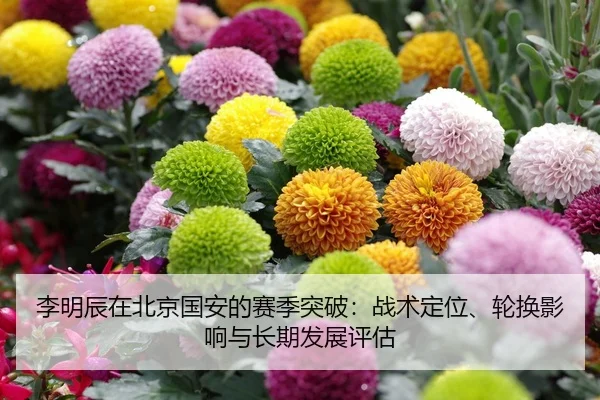 li-ming-chen-zai-bei-jing-guo-an-de-sai-ji-tu-po-zhan-shu-ding-wei-lun-huan-ying-xiang-yu-chang-qi-fa-zhan-ping-gu-2-134.jpg